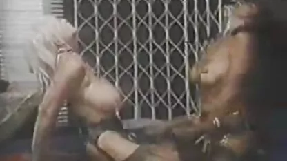 Big brother before you dog sex vidio jepang