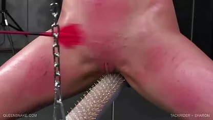 Riley Mitchell butuh bantuan untuk ereksi di pagi xxx video bokep jepang hari.